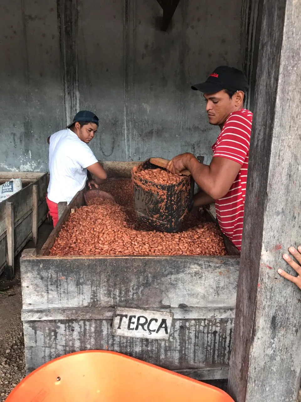 A Moa Chocolates é considerada a primeira fábrica Bean to Bar do Ceará, cuja produção vai do grão à barra