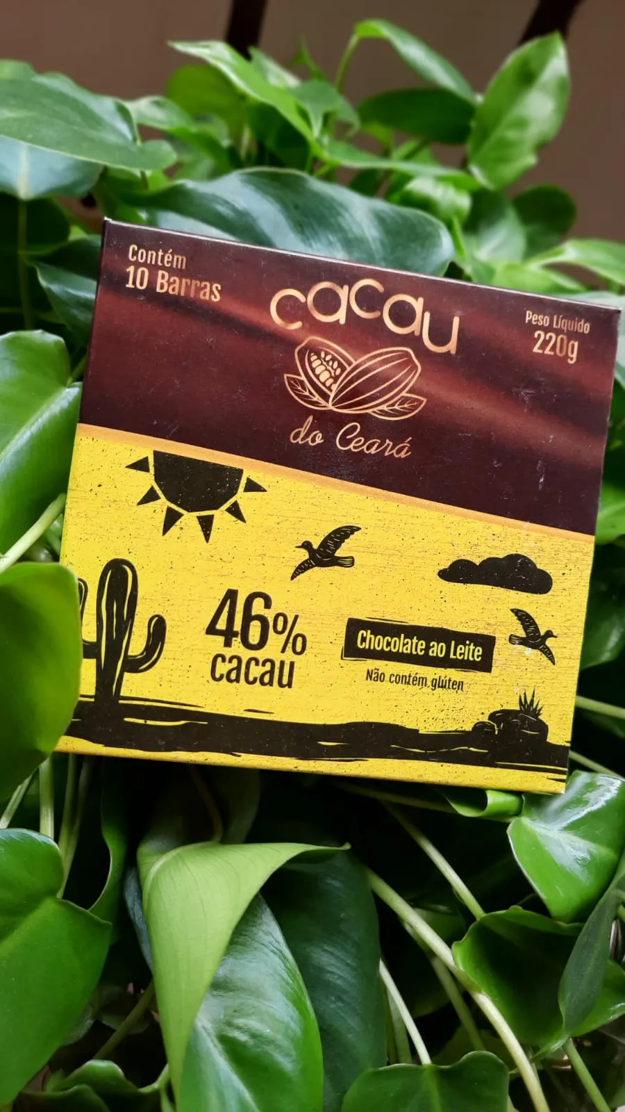 Uma das vertentes do chocolate da Cacau do Ceará é o 46%, premiado internacionalmente