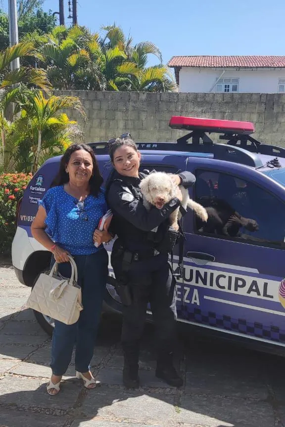 Guarda Municipal de Fortaleza divulgou o trabalho de resgate na última quarta-feira (31)