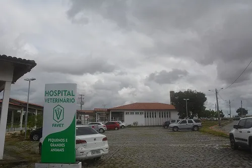 Clínica veterinária da Uece oferece atendimentos de baixo custo