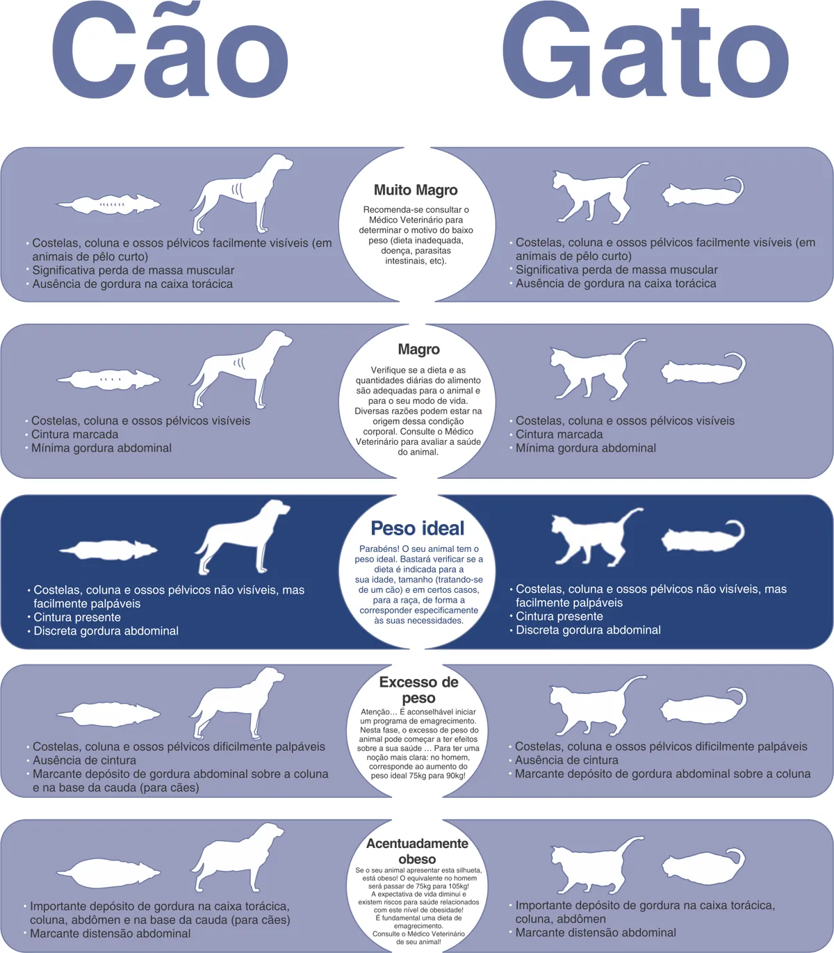Com a escala corporal é possível ter uma noção se o cachorro ou gato está acima ou abaixo do peso