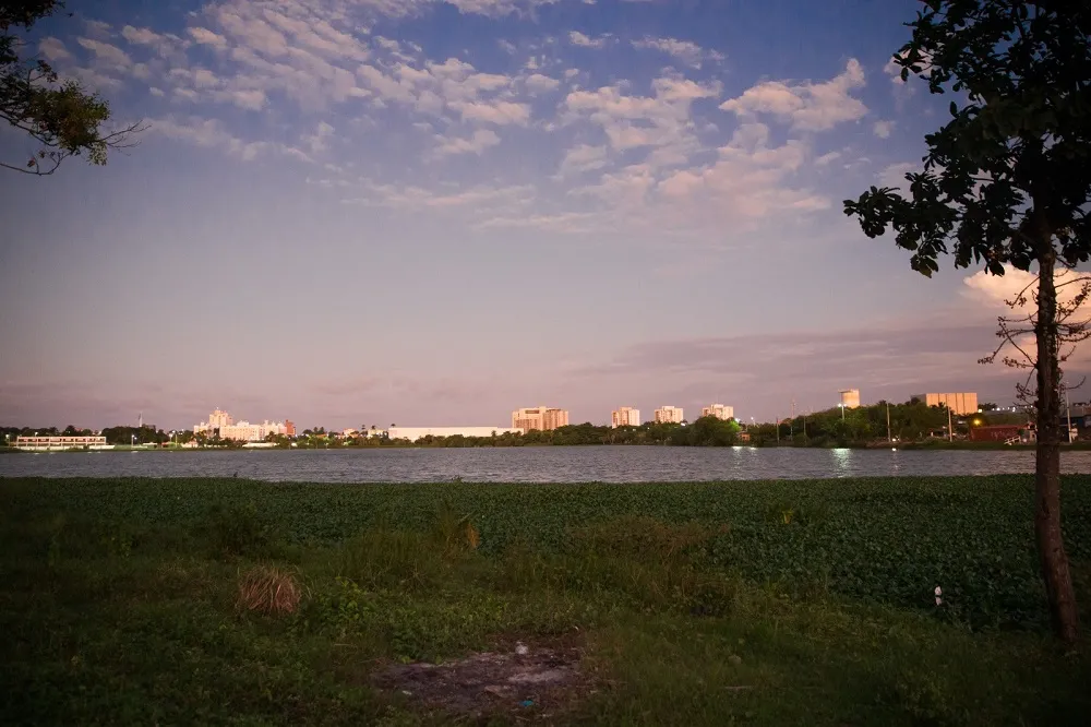 Lagoa do Mondubim faz parte da bacia do Rio Ceará e possui história intrinsecamente ligada ao crescimento da Capital