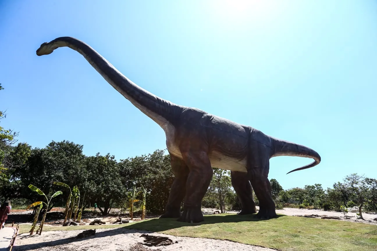 Com 20 metros de altura e 35 metros de comprimento, o Argentinosaurus pode ser visto de longe pelos visitantes