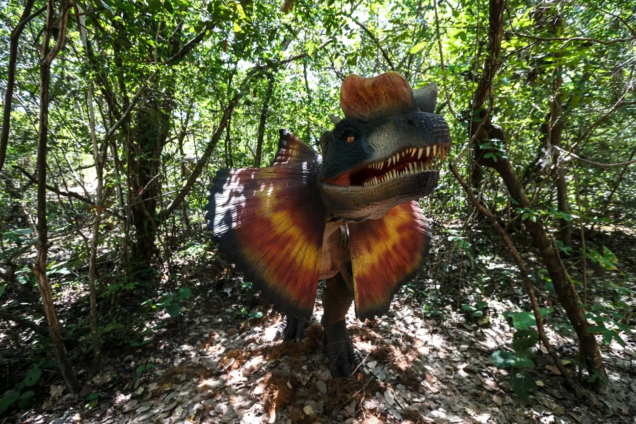 Desejo da organização do parque é projetar o sentimento de se estar numa floresta descobrindo o esconderijo dos animais