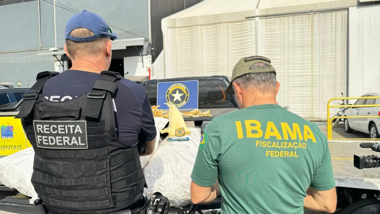 Operação contou com atuação de agentes da Receita Federal e do Ibama