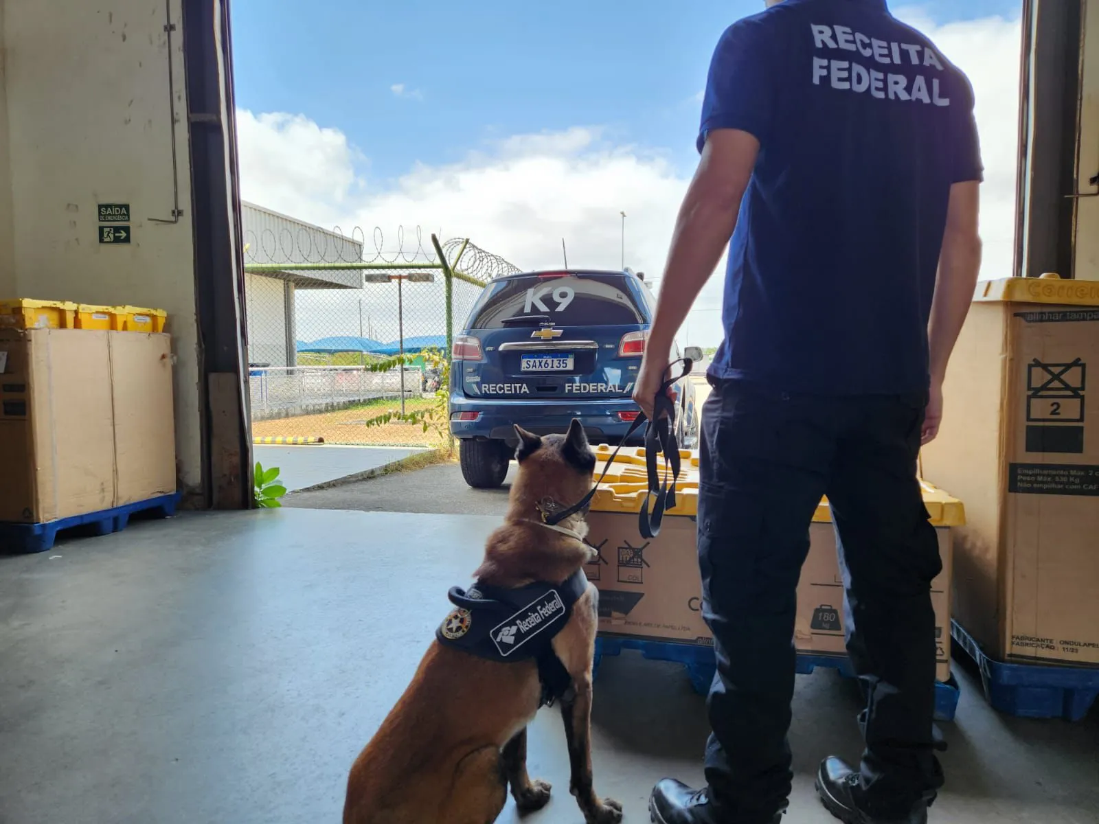 Os cães Ithor, Saymon e Scooter auxiliaram os trabalhos da Receita Federal