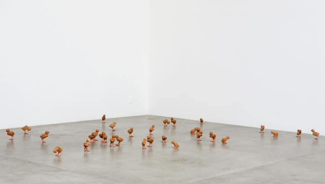 Pintinhos (2006-2007), obra de Efrain Almeida, composta por 32 peças em umburana