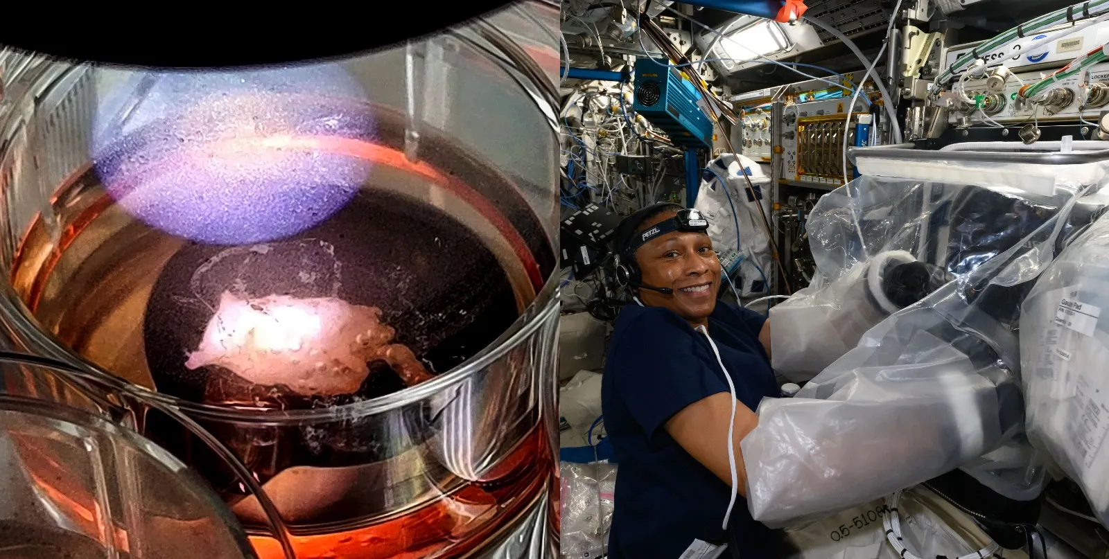 Jeanette Epps em uma investigação com a BioFabrication Facility-Cardiac