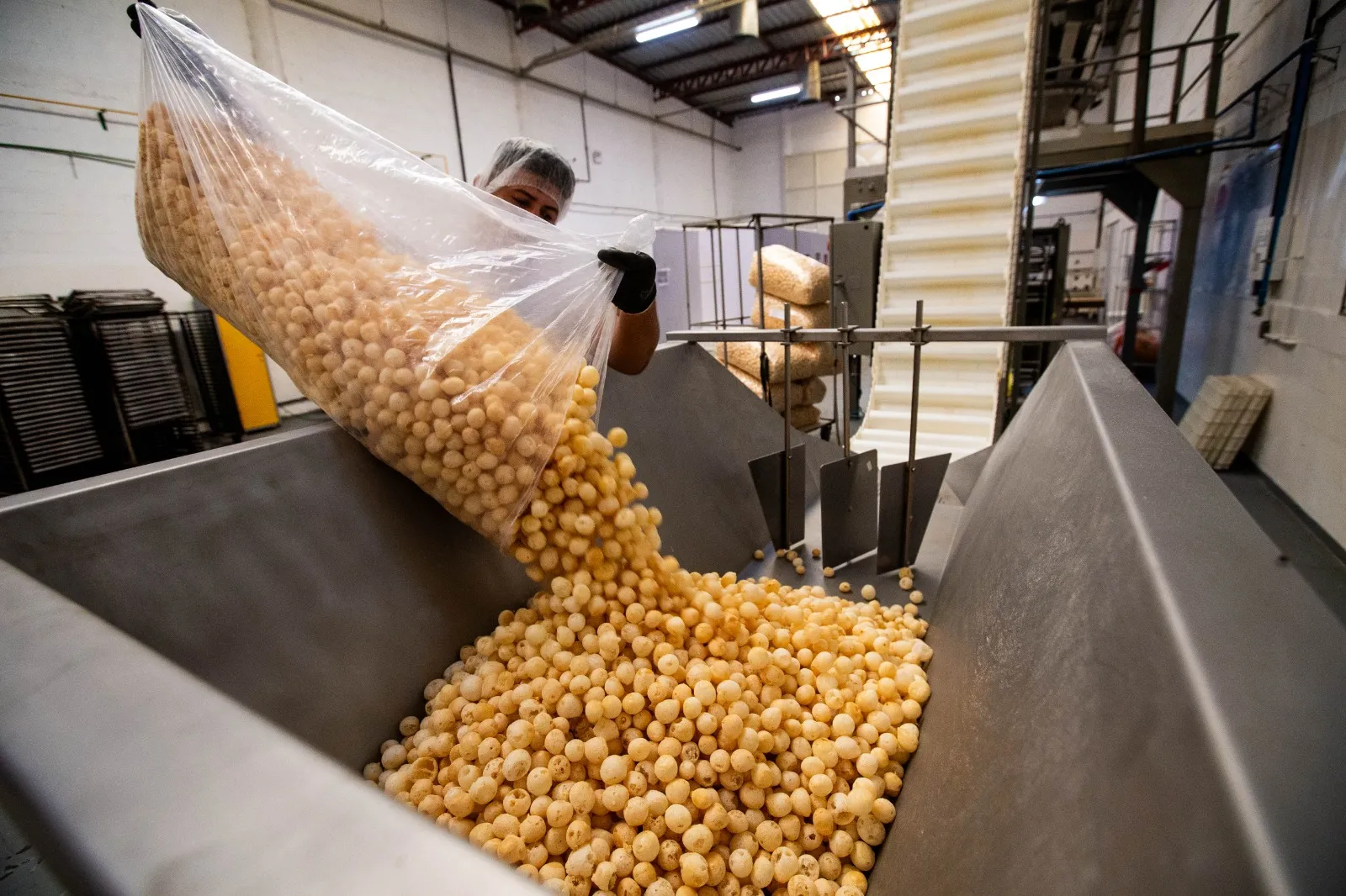Na Madi Biscoitos, a produção é industrial e passa por diversas etapas até chegar à mesa do consumidor