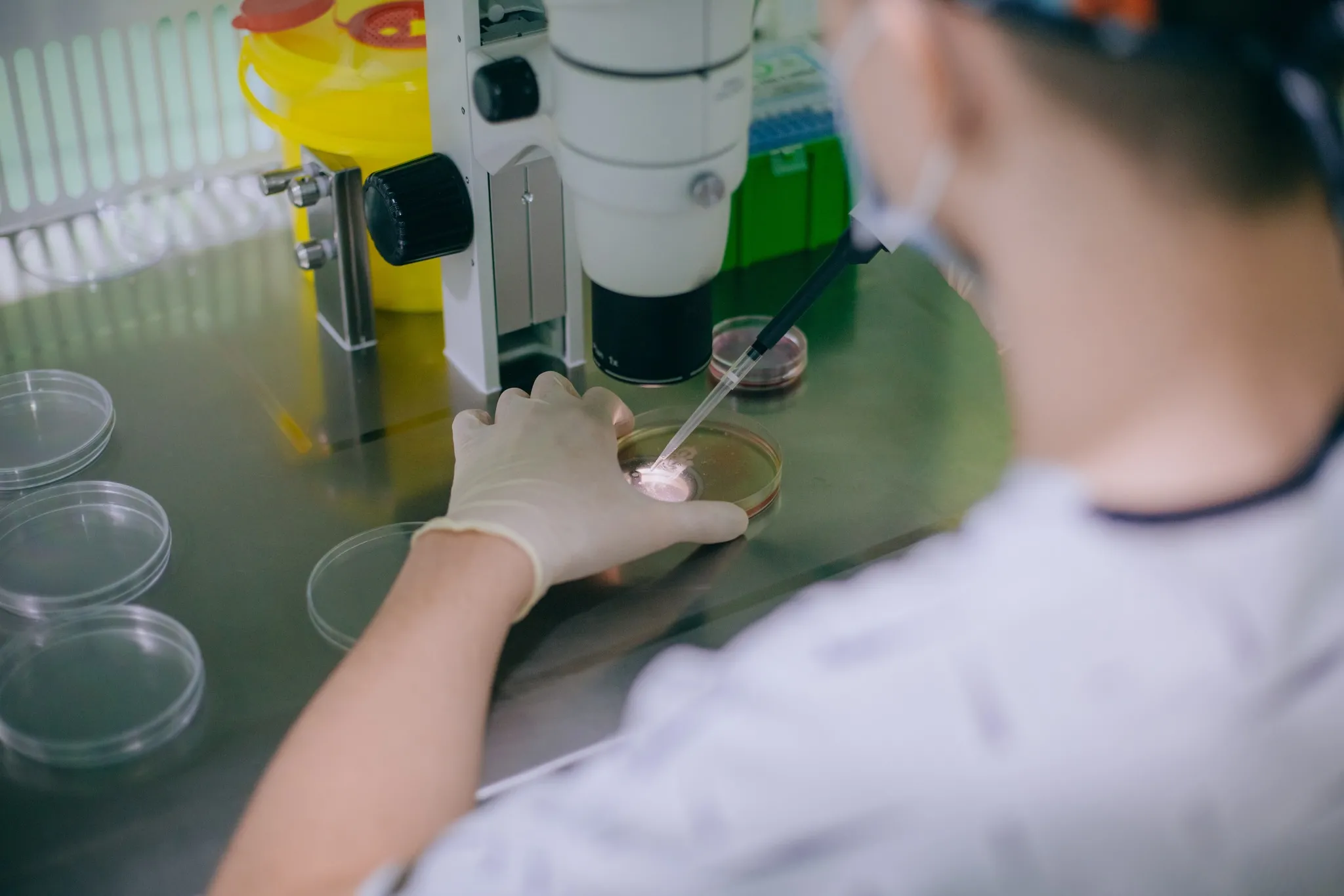 Técnicas de reprodução assistida, como fertilização in vitro, podem ajudar casais com dificuldade de engravidar e mulheres que decidem adiar a gestação