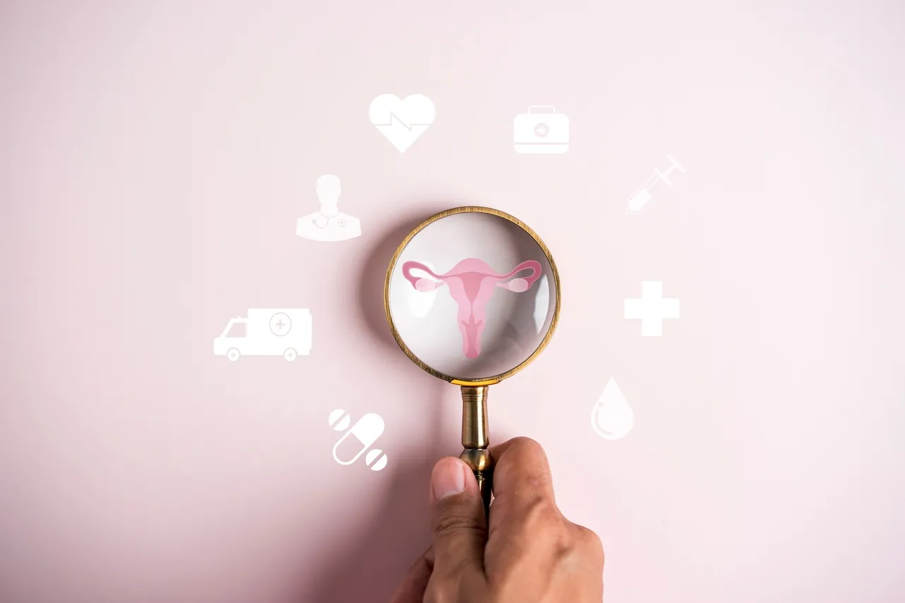 A alimentação exerce um papel fundamental no controle dos sintomas do climatério e na manutenção da saúde da mulher nessa fase.