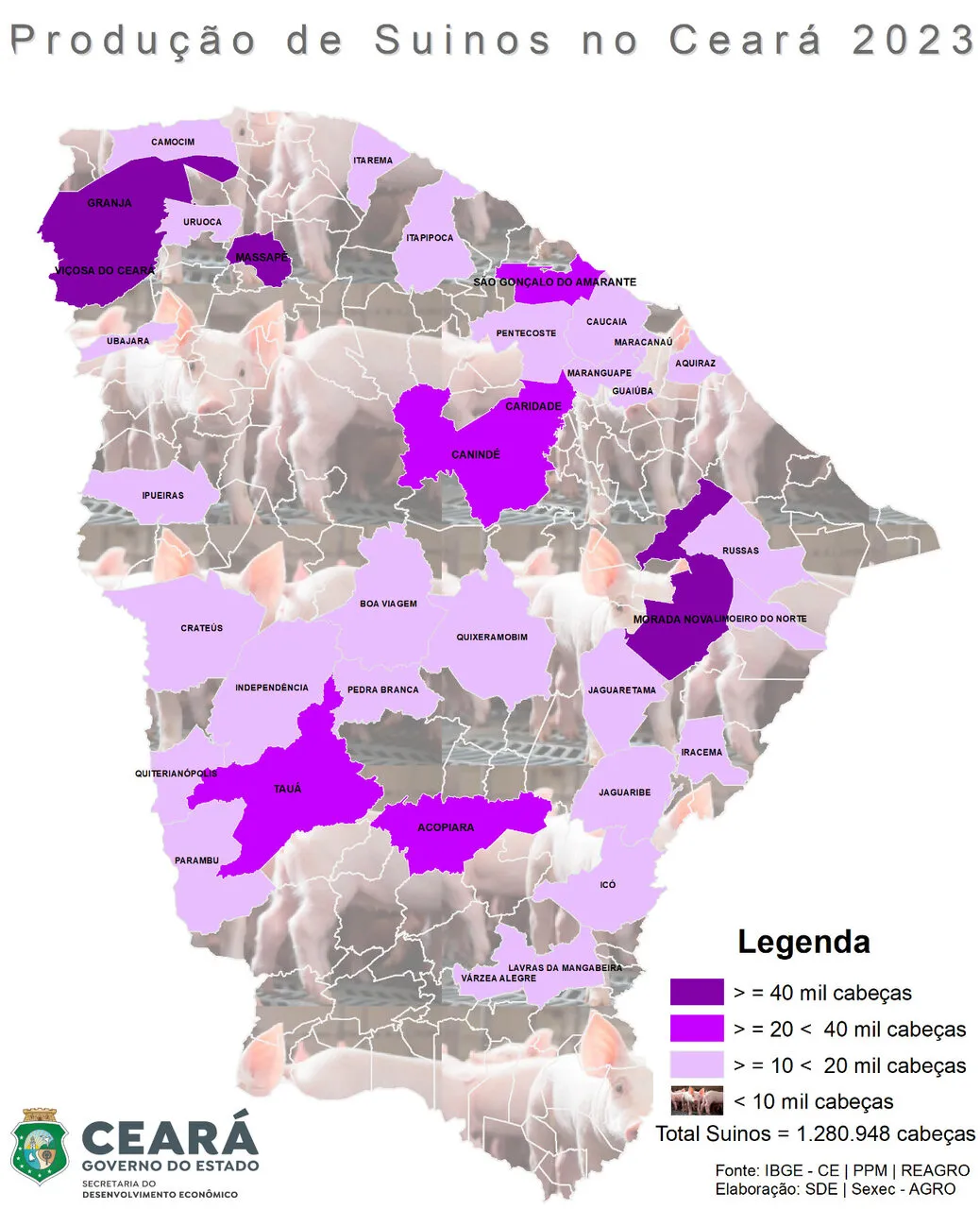 Produção de suínos no Ceará ultrapassa 1,2 milhão de cabeças, com destaque para Morada Nova, Granja e Limoeiro do Norte