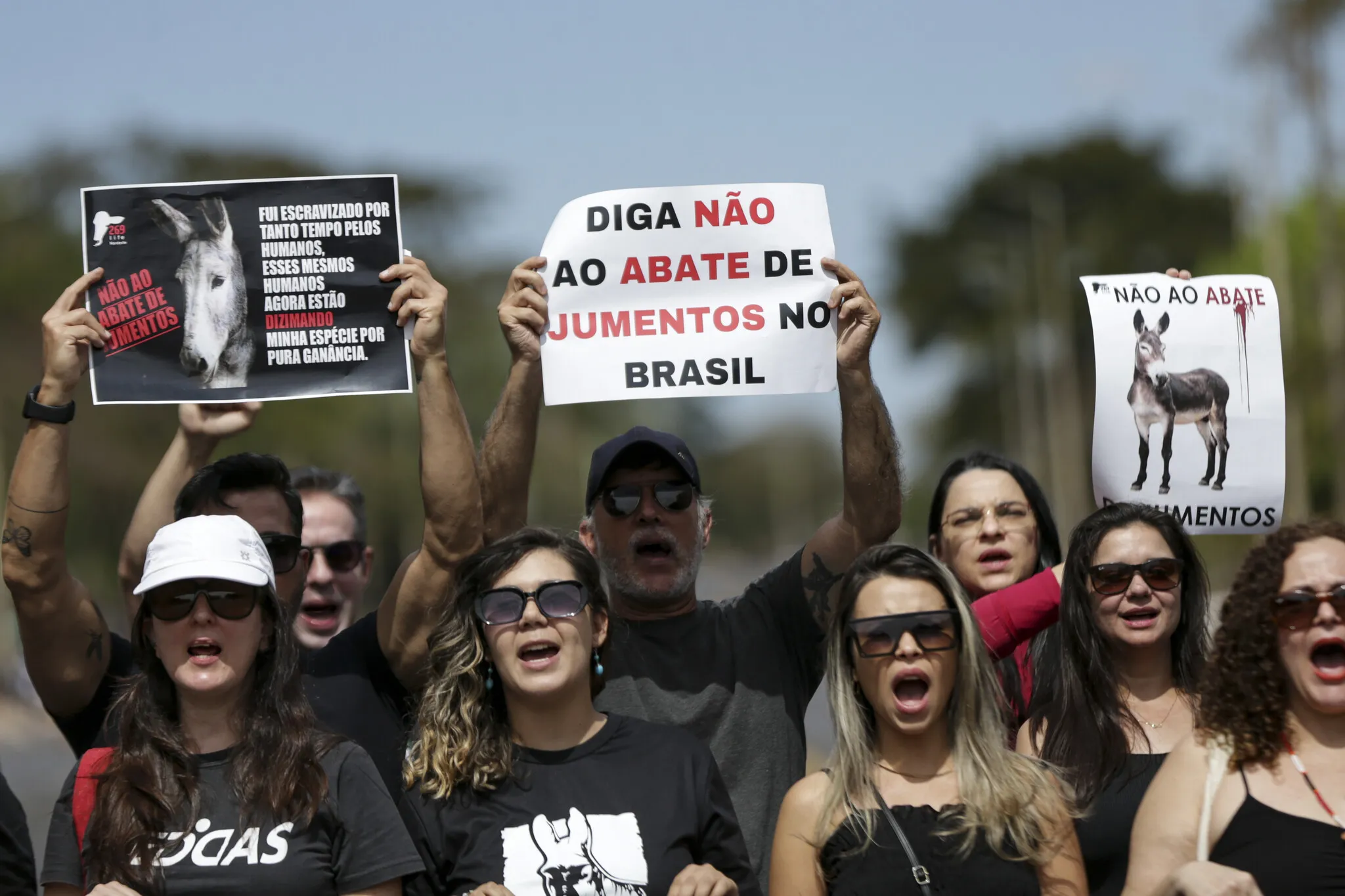 Manifestação realizada por entidades de proteção dos animais, ativistas e advogados contra o abate de jumentos no Brasil, em 2023