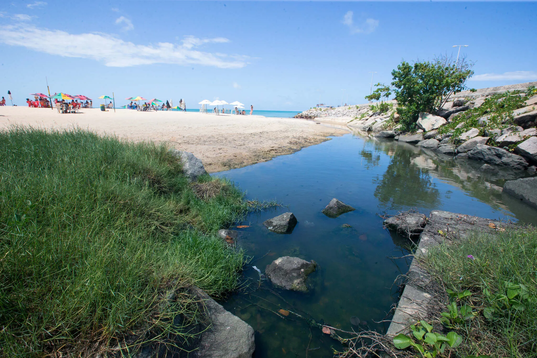 No final de 2023, manchas apareceram no mar de Fortaleza, na Praia de Iracema, e levou a embates entre a Prefeitura de Fortaleza e o Governo do Ceará