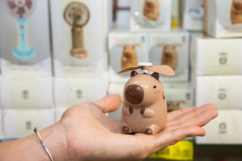 Na NewShop, até mini-ventilador com estética de capivara é possível encontrar