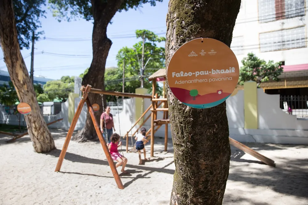 De brinquedos a exposição, passando por parques naturalizados, diferentes cenários compõem a Cidade da Criança