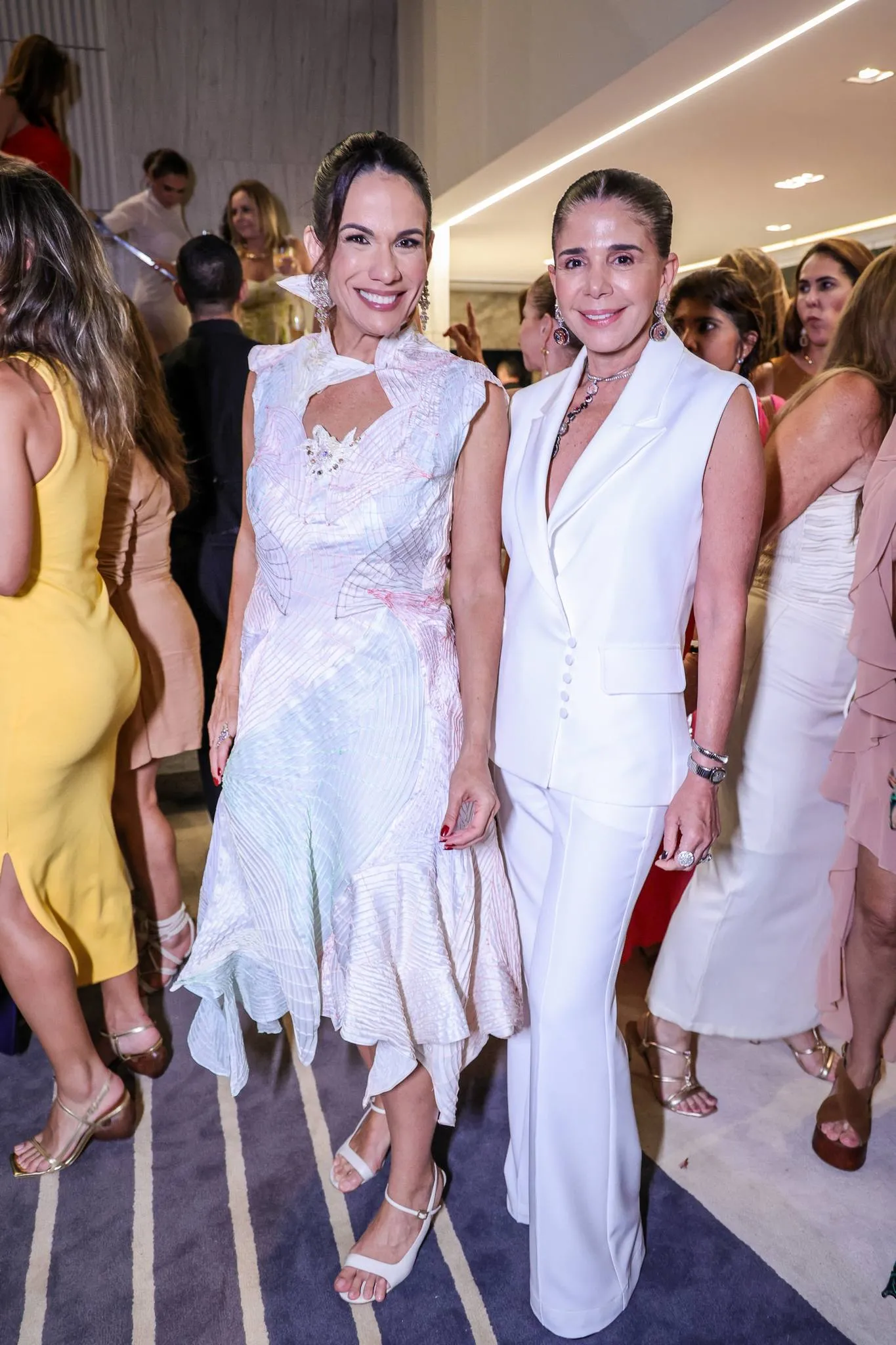 Ana Virginia Martins e Maria Lucia Negrão