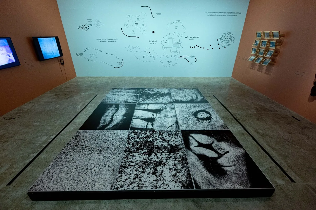 No chão, destaque à obra “Epidermic Scapes”, de Vera Chaves Barcellos