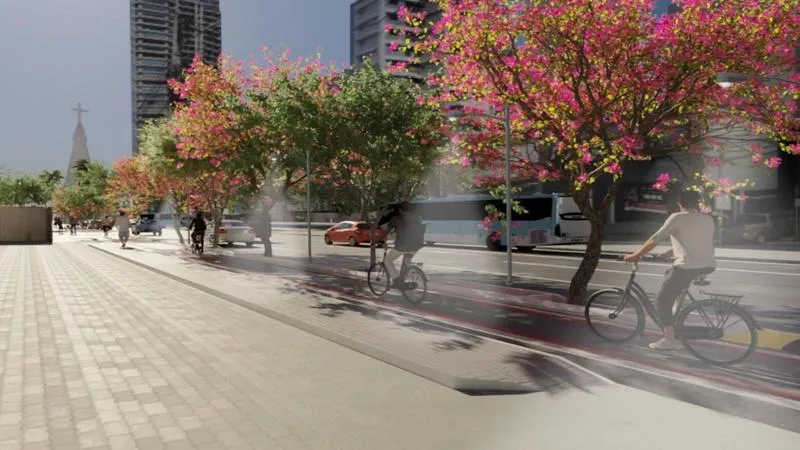 Projeto das ciclovias prevê o plantio de árvores nos canteiros centrais, oferecendo conforto térmico aos ciclistas