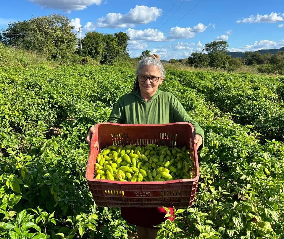 Ao lado de familiares, Maria Zeneide Lopes produz pimenta-de-cheiro, tomate, mamão, alface, cheiro verde, entre outras culturas