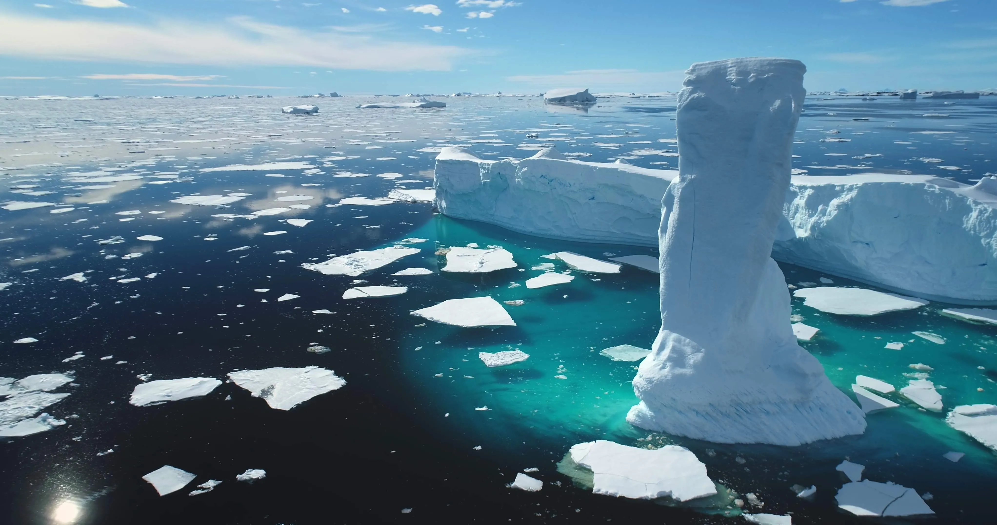 As COPs do clima buscam adotar medidas para reduzir os impactos das mudanças climáticas.